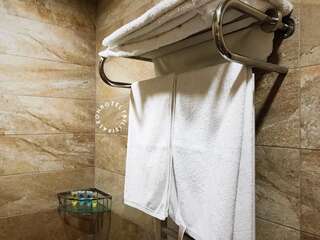 Отели типа «постель и завтрак» Aleon Hotel Тбилиси Двухместный номер с 1 кроватью и собственной ванной комнатой-4